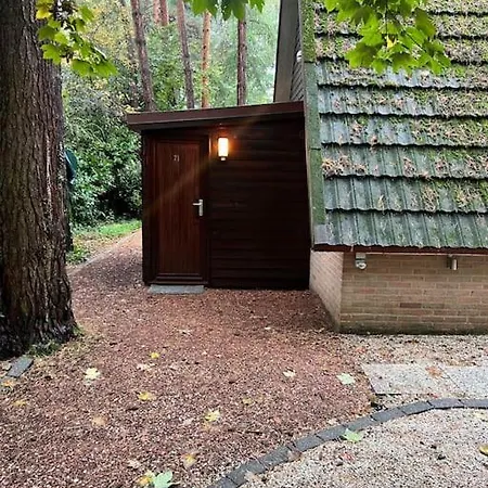 Ferienhaus Dennenrust A-frame Middenin Het Bos. Lanaken