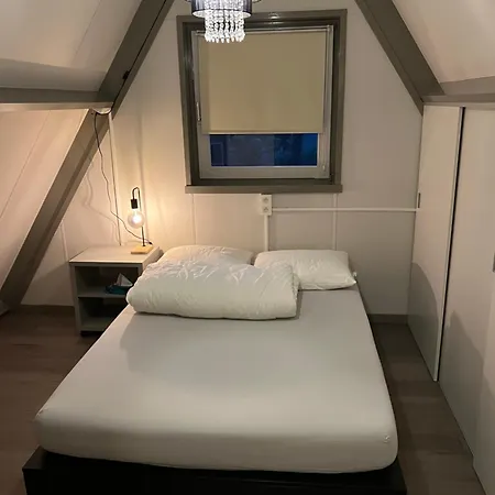 Dennenrust A-frame Middenin Het Bos. * Lanaken