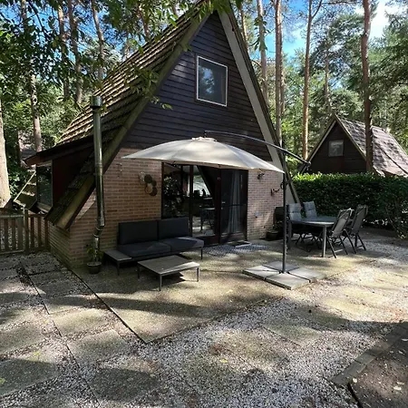 Dennenrust A-frame Middenin Het Bos.